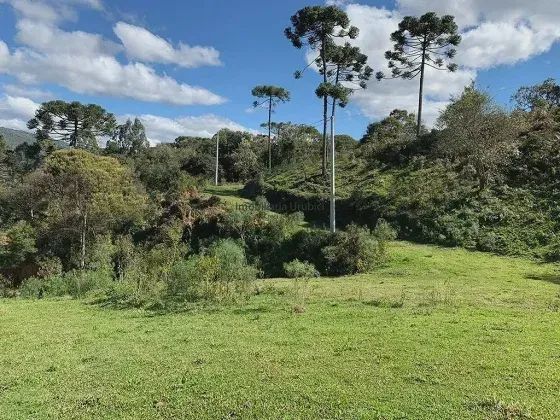 ÁREA RURAL À VENDA - Foto 5