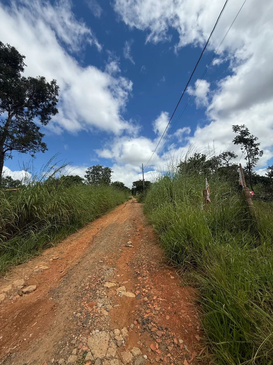 Lote 1000 metros - OPORTUNIDADE  - Foto 5