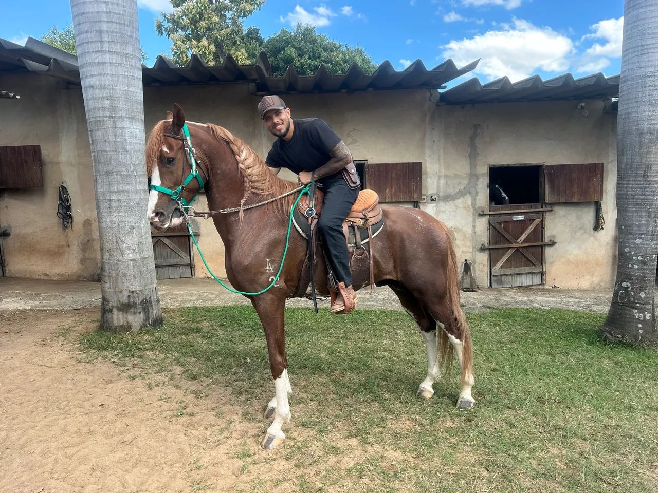 Cavalo Mangalarga Paulista