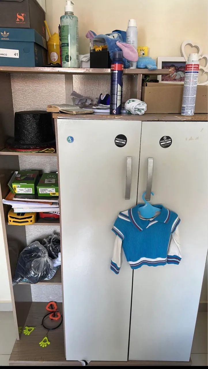 Guarda Roupa com 2 portas e nichos  - Foto 2