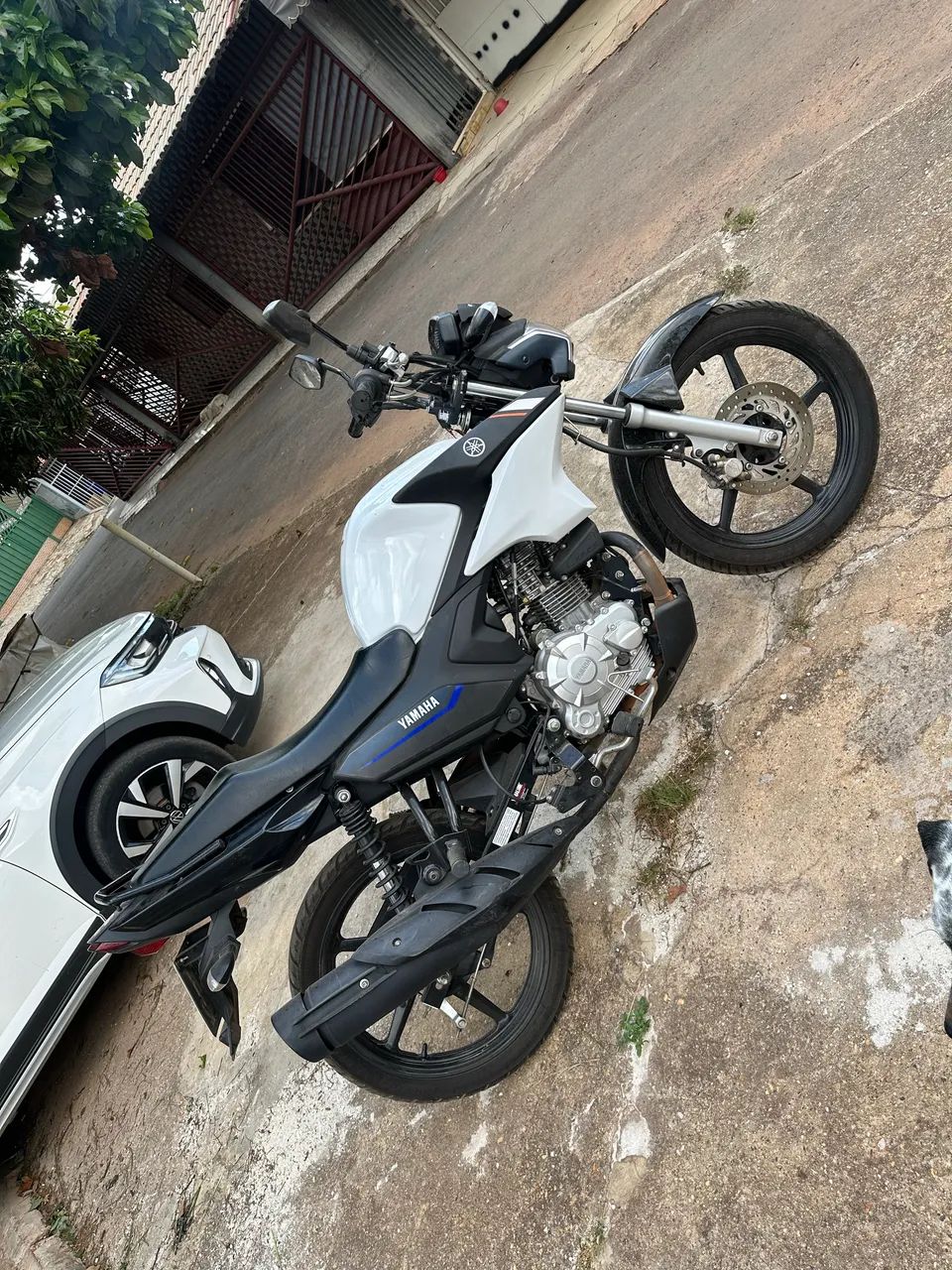 Yamaha YBR Factor DX flex 2025 - Foto 4