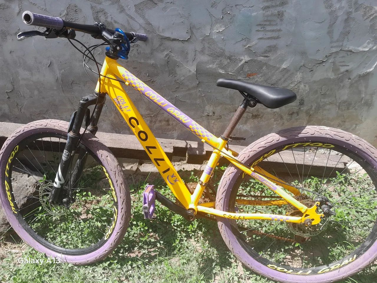 Bicicleta colli grau 