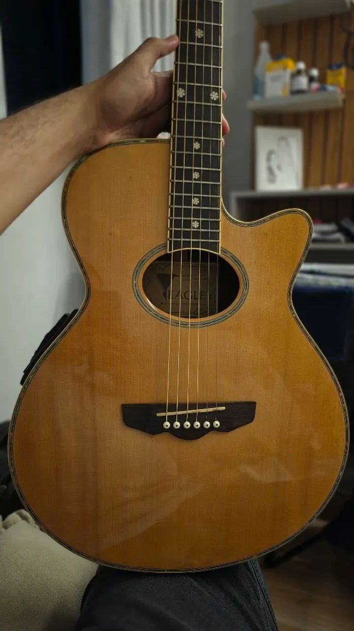 Violão Aço Eagle EG 611 NT
