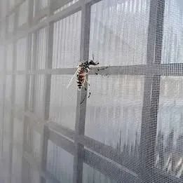 Anti-mosquitos Telas de proteção  para janelas