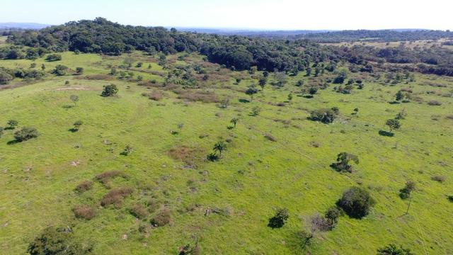 Fazenda Goiás Baliza - Foto 7