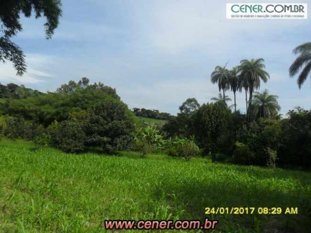 07F/Bela fazenda de 18,78 ha com linda sede estilo antigo, cachoeiras e produtiva - Foto 9
