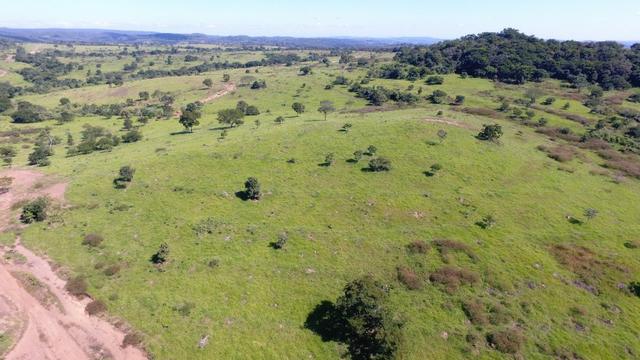 Fazenda Goiás Baliza - Foto 2
