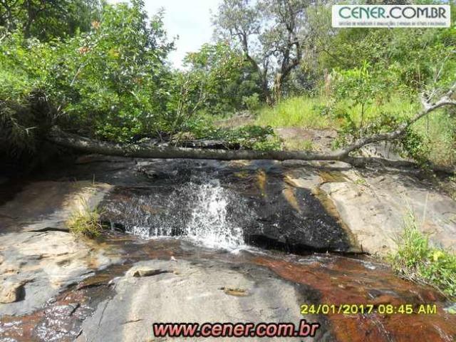 07F/Bela fazenda de 18,78 ha com linda sede estilo antigo, cachoeiras e produtiva - Foto 13