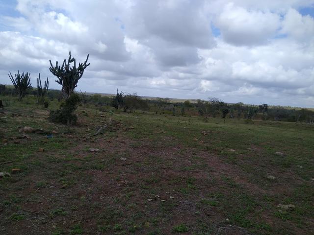 Vendo uma fazenda - Foto 6