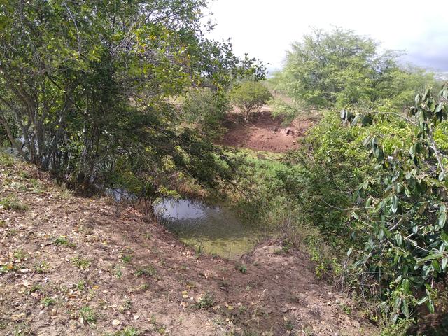 Vendo uma fazenda - Foto 2