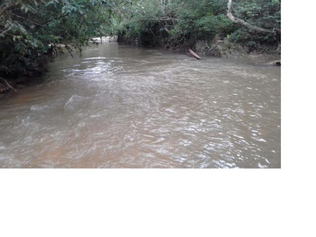 9.0 Hectares, Chapada dos Guimarães, 01 riacho e um rio, um paraíso, aceito troca - Foto 6
