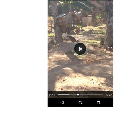 Ocasião,14,95 hectares,porteira fechada,peixes,Novilhas,Santo Antônio-MT - Foto 3