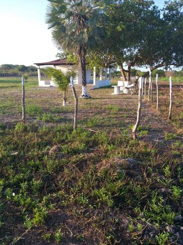 Pequeno sítio em Itaitinga! - Foto 5