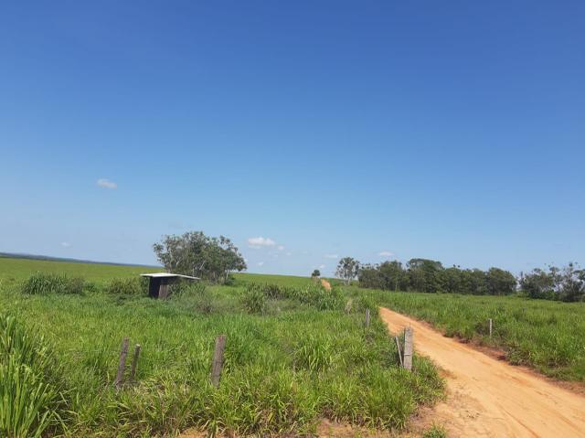 Fazenda de 154 alqueires - Foto 8
