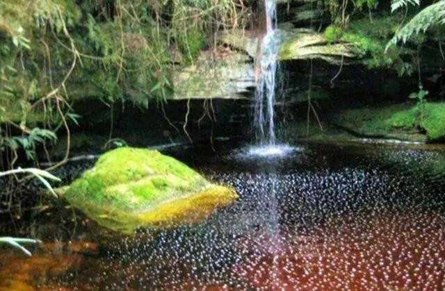 Serra do Funil - Casa a Venda - 21 Cachoeiras