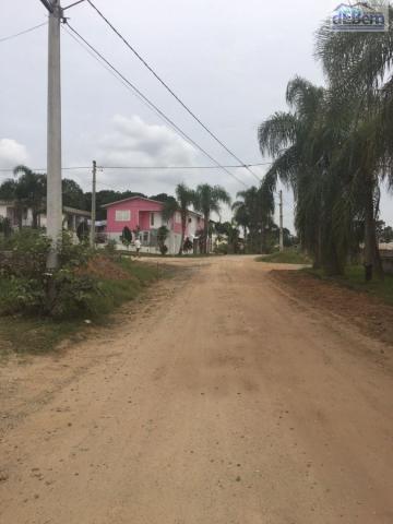 Casa, Vila Rica, Criciúma-SC - Foto 3