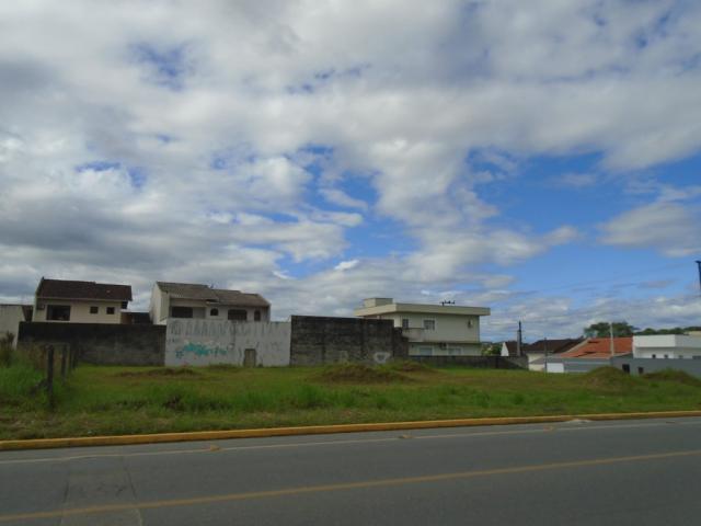 Terreno para alugar em Santa catarina, Joinville cod:08122.001