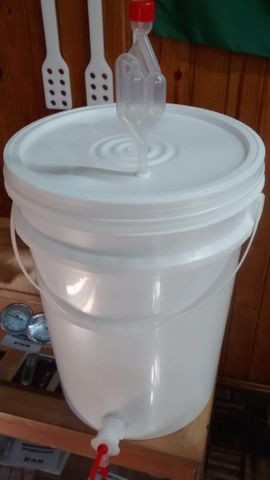 Balde Fermentador Maturador 22L para Cerveja Artesanal - More Hops! Brew Shop