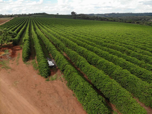 FAZENDA COM 60HEC PRA CAFE, DE BOA QUALIDADE!! - Foto 4