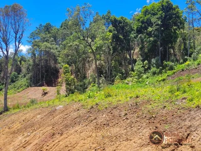 Imóvel com 2 hectares ao lado do Caminho das Nuvens / SC - Foto 2