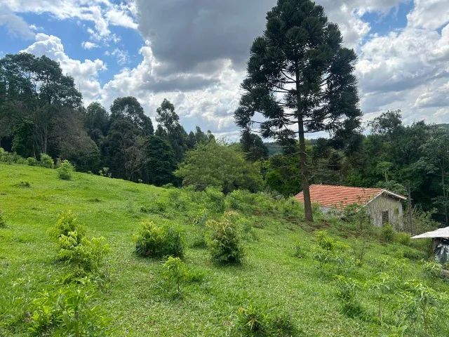 Chácara de 7,4 hectares em Ibema, próximo a cidade! - Foto 2