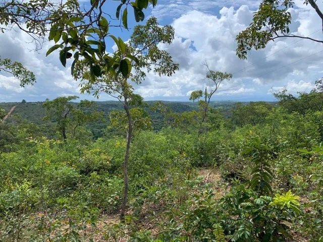 Terreno rural 2,3ha com rio nos fundos Jaboticatubas. - Foto 3