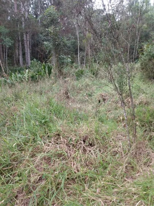 Área 37.650 m2 Embú Guaçu/Parelheiros  - Foto 10