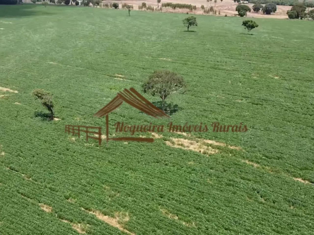 Sítio com 16 Alqueires na Região De Avaré-SP - Foto 6