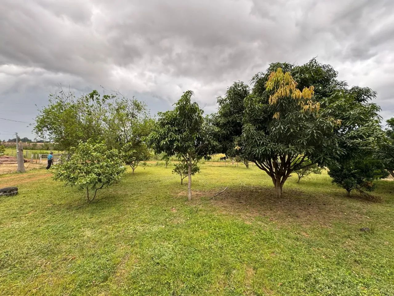 ] Oportunidade! Chácara com Casa, Pomar e Água de Mina ] - Foto 7