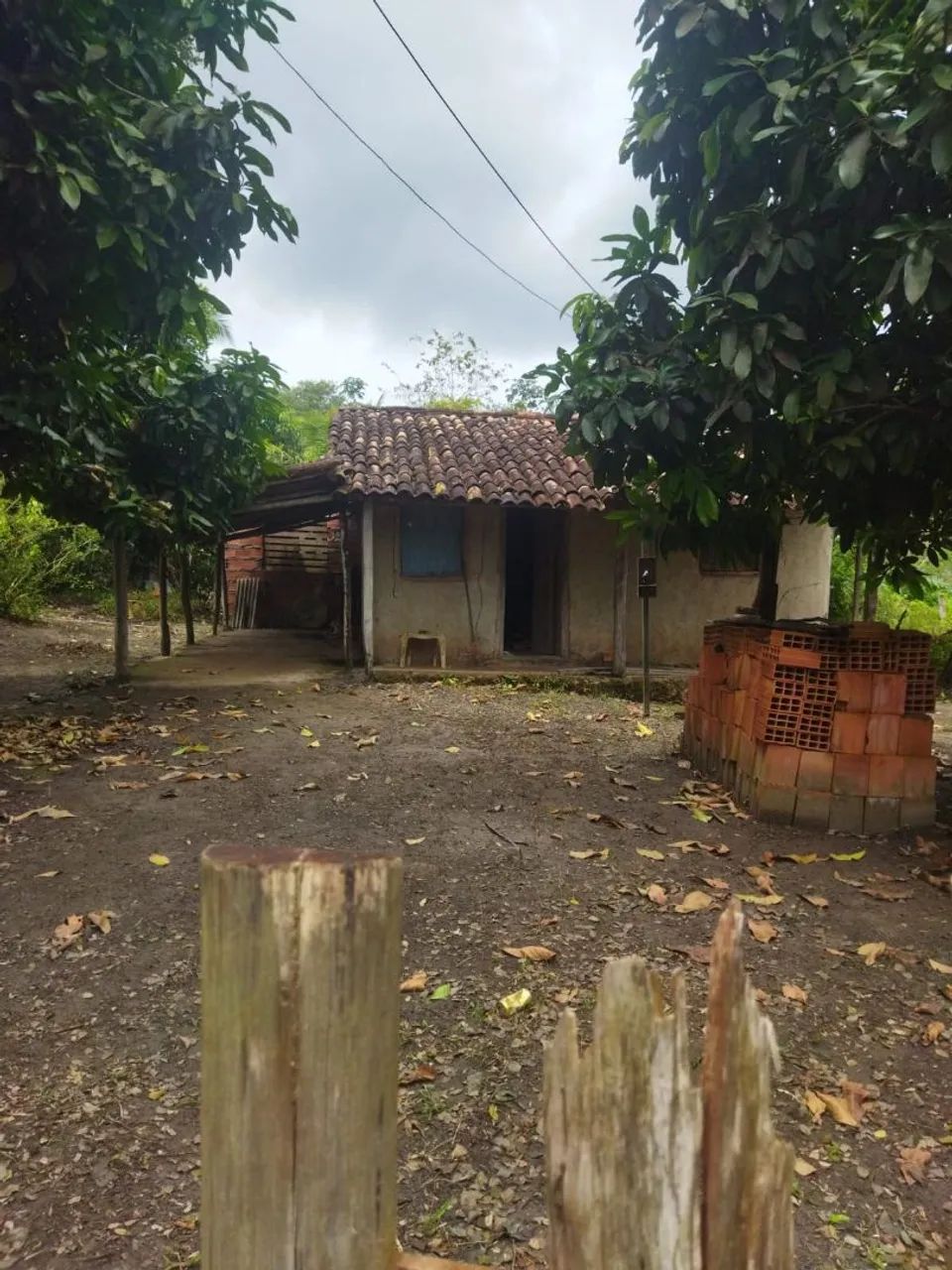 Foto - Salvador - Brotas