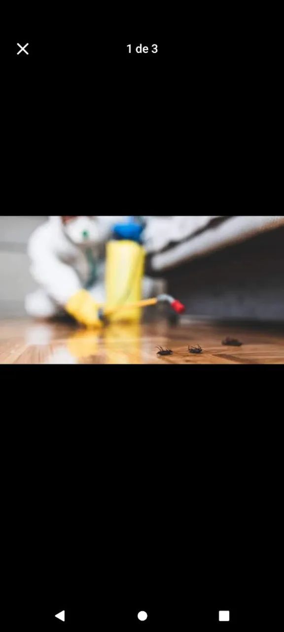 Dedetização  - Foto 3