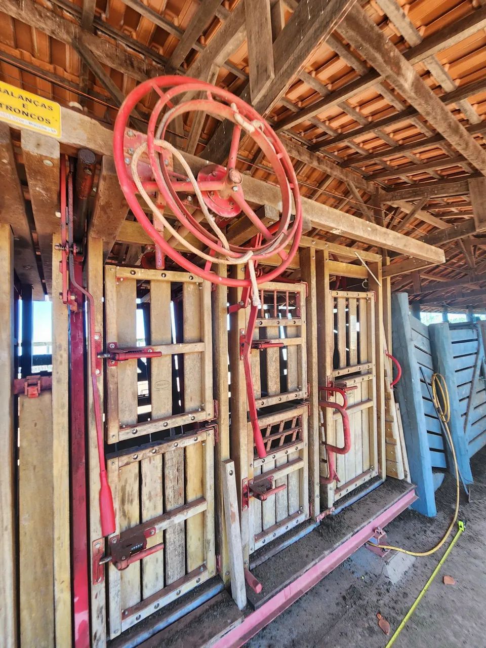 Tronco Coimma com balança - Foto 4