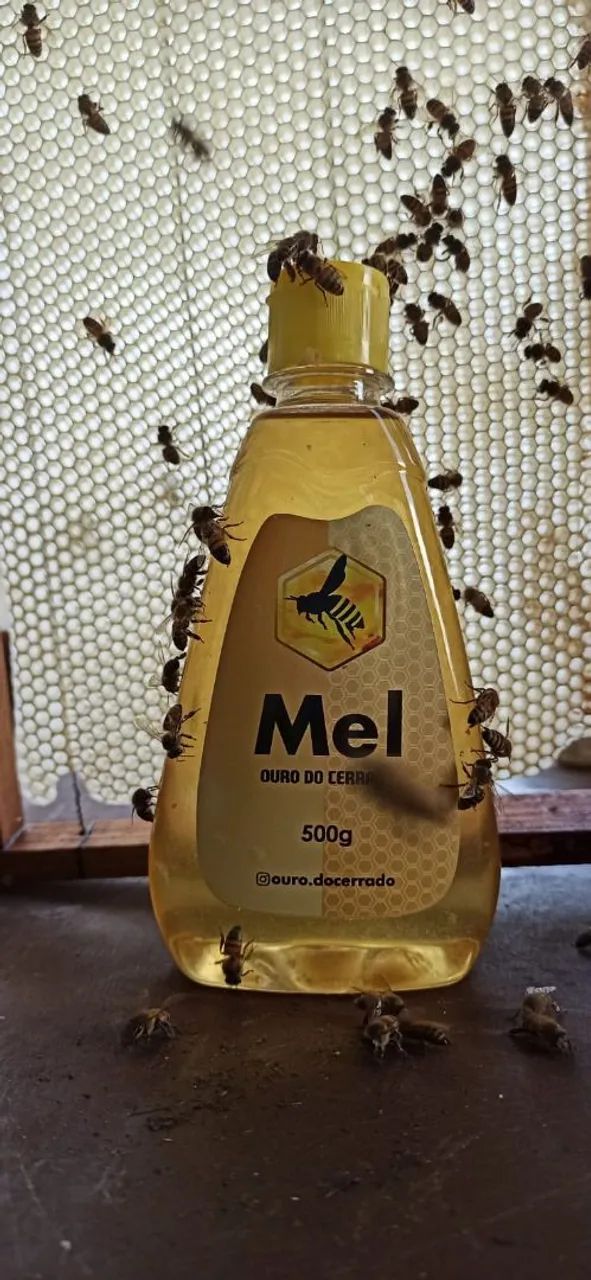 Mel de Verdade - Abelhas 