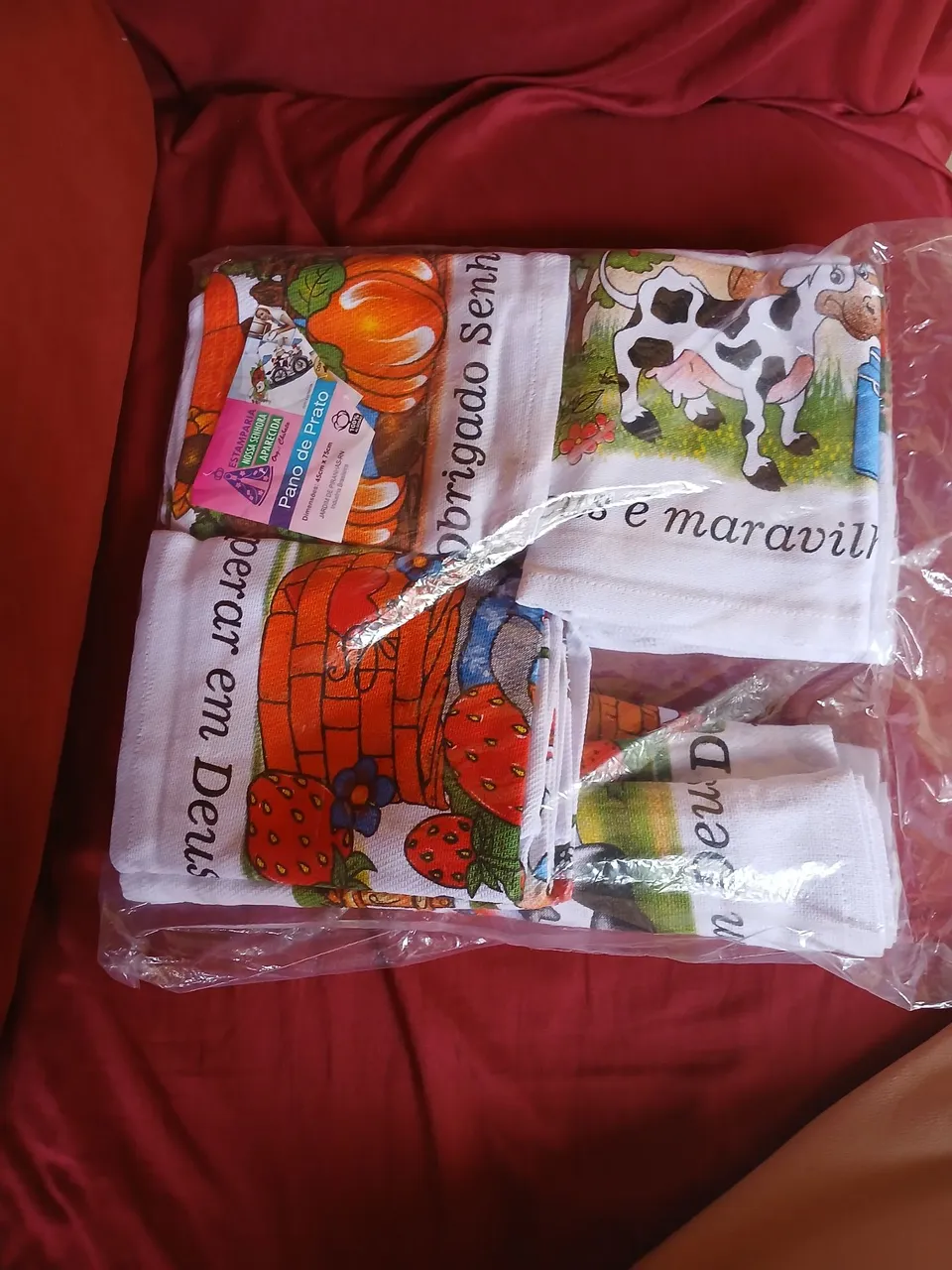 Panos de Prato Decorados - Kit com 2 Unidades