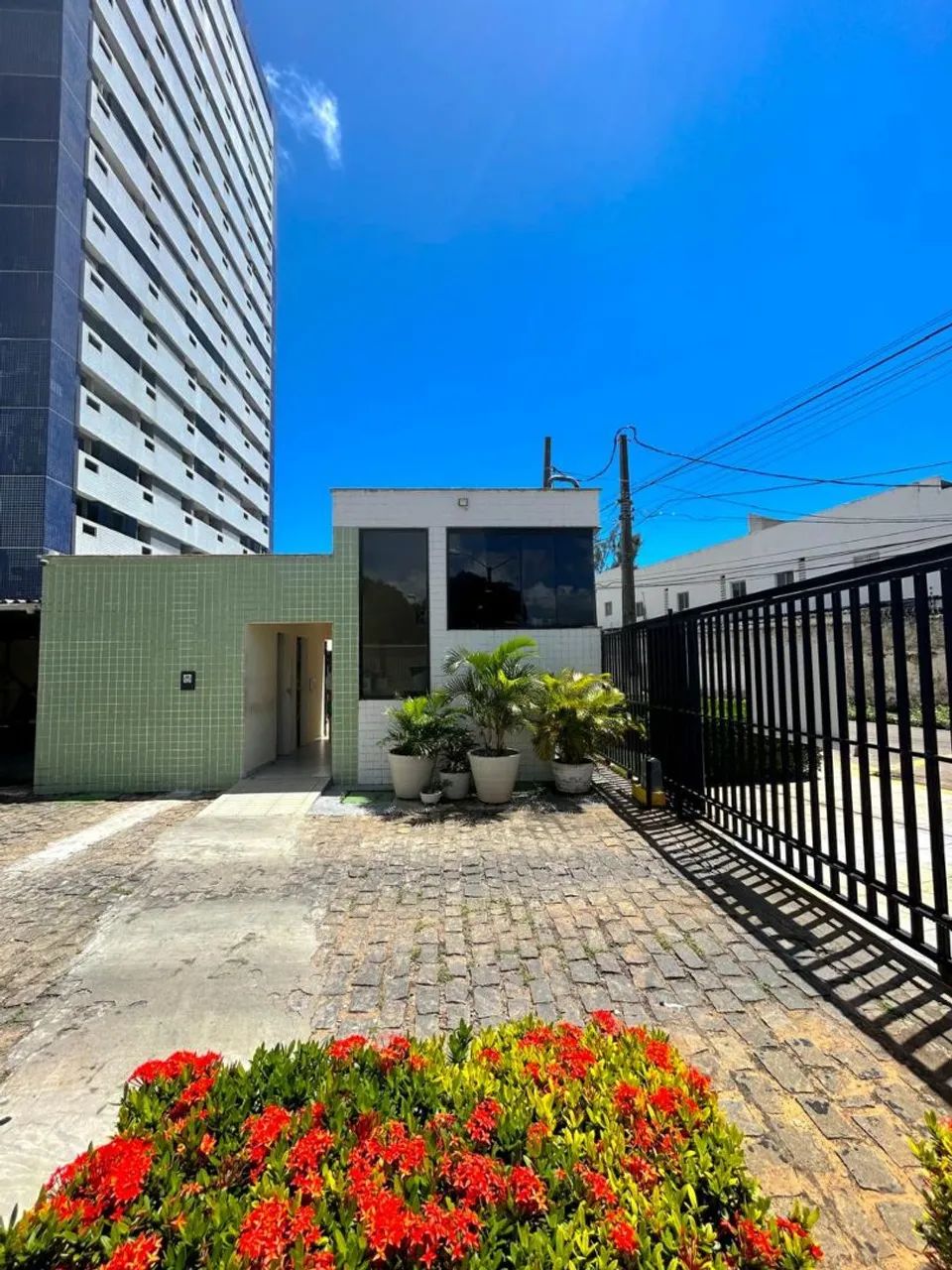 Foto - Natal - Capim Macio