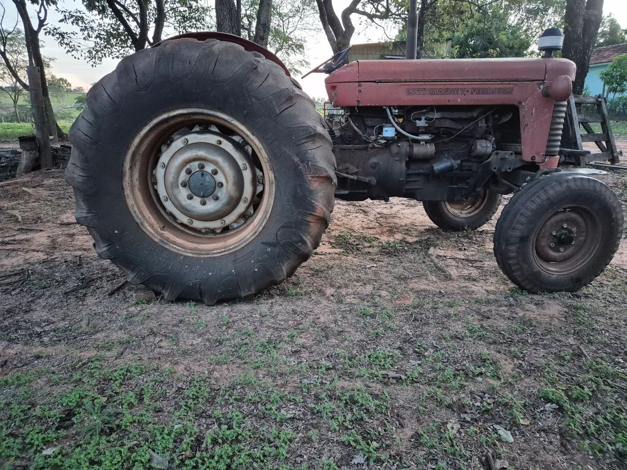 Trator Massey Ferguson 65X -  - Foto 2