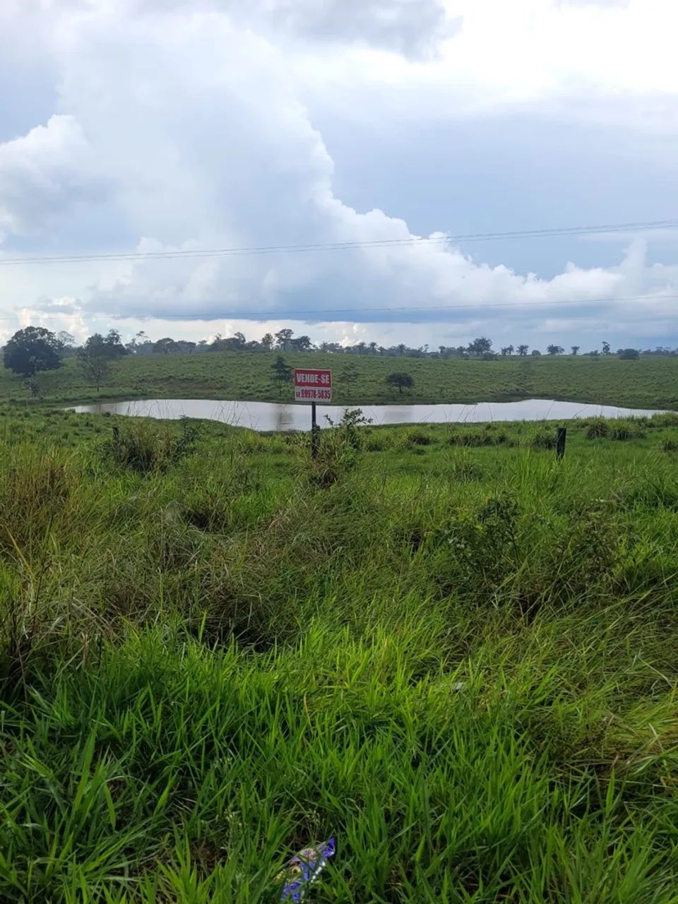 Fazenda Ac90/transacreana Km 48. Beira da estrada  - Foto 4