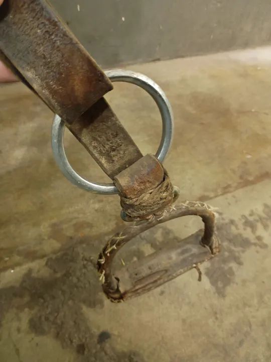 Arreio cutiano com pelego  - Foto 6