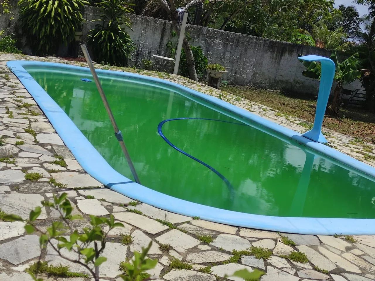 Excelente mini chacara - Foto 3