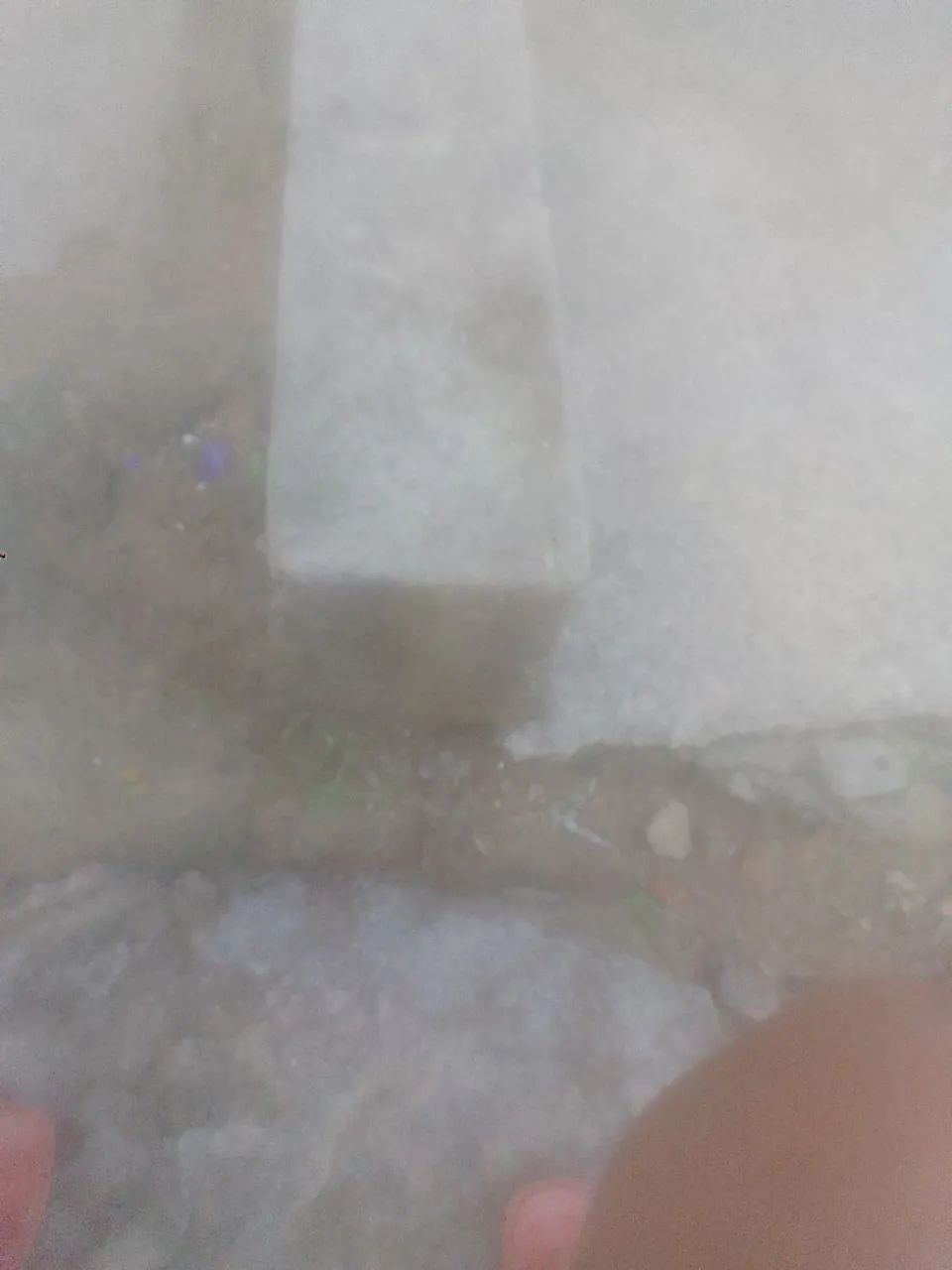 Pedra para decoração de jardim