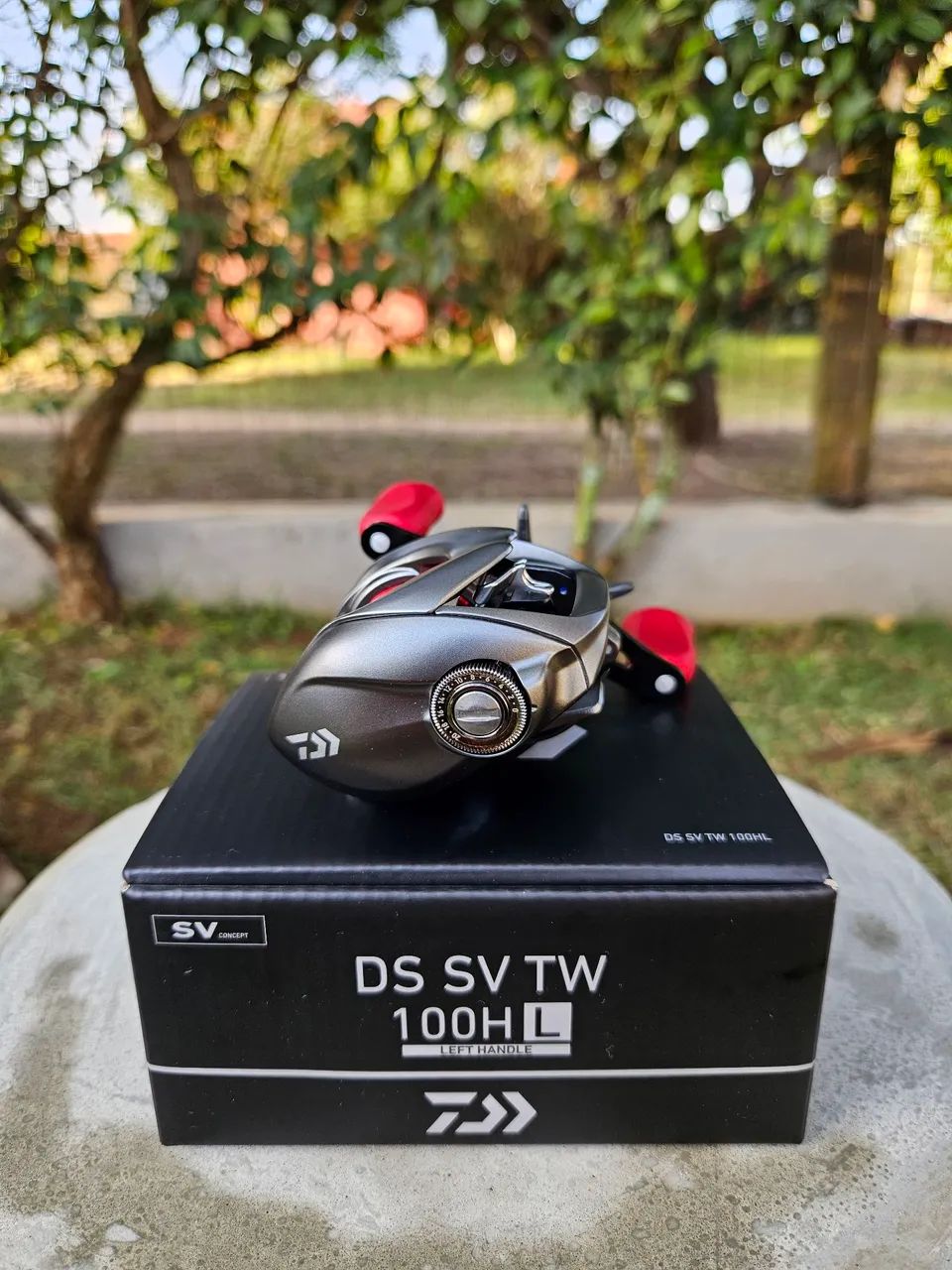 Carretilha Daiwa DS SV TW 100HL