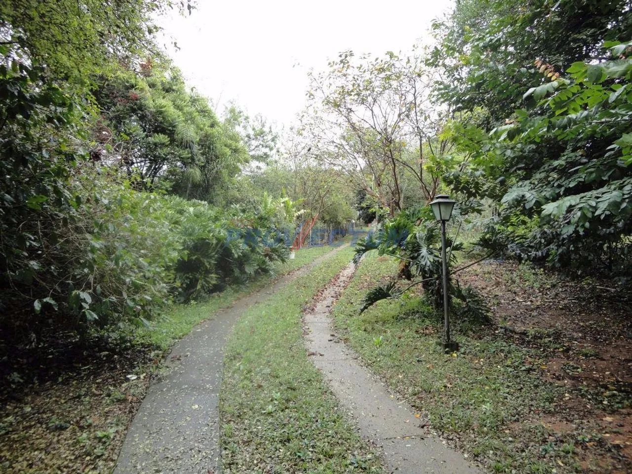 chácara - Chácaras Alpina - Valinhos - Foto 5