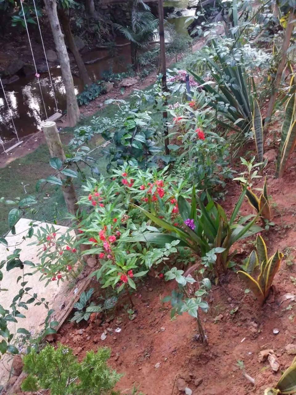 Alugo casa para temporada  - Foto 7