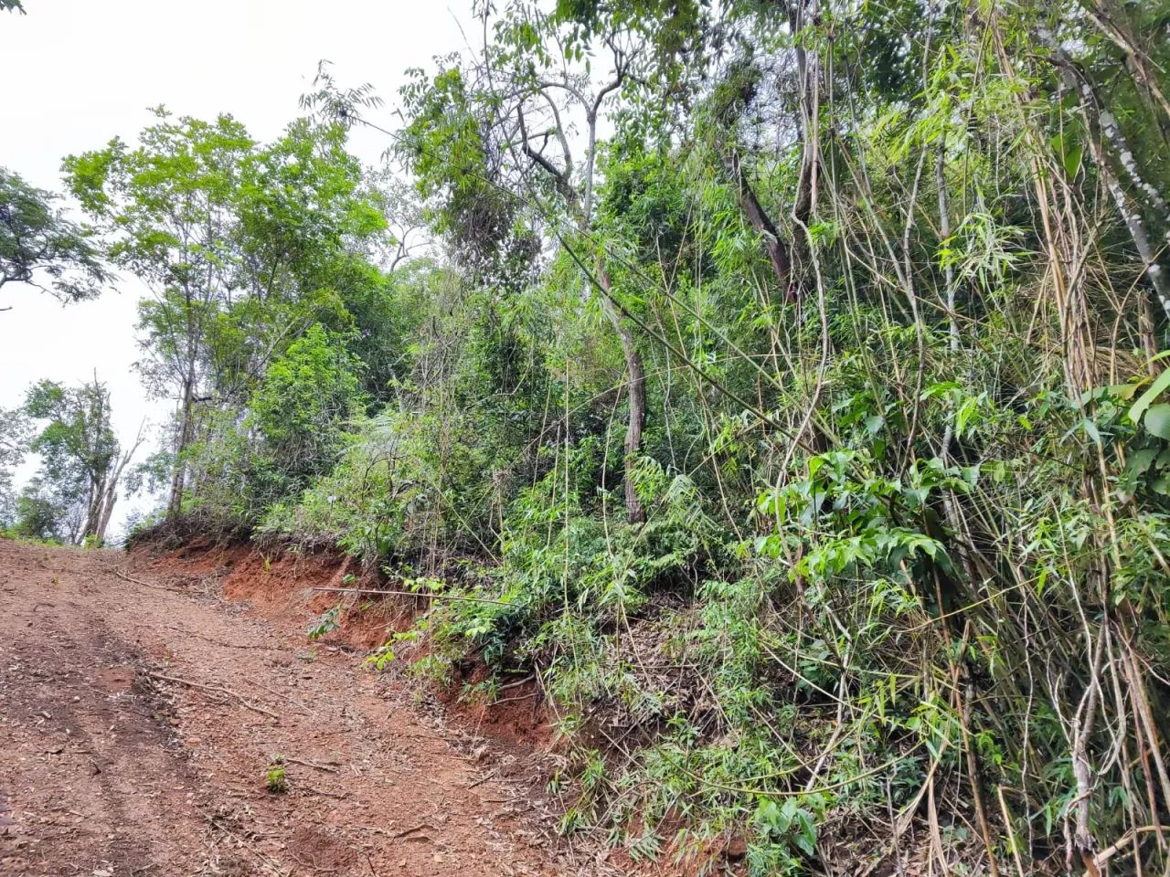 Seu Lote dos Sonhos em  - Alumínio - SP - Foto 8