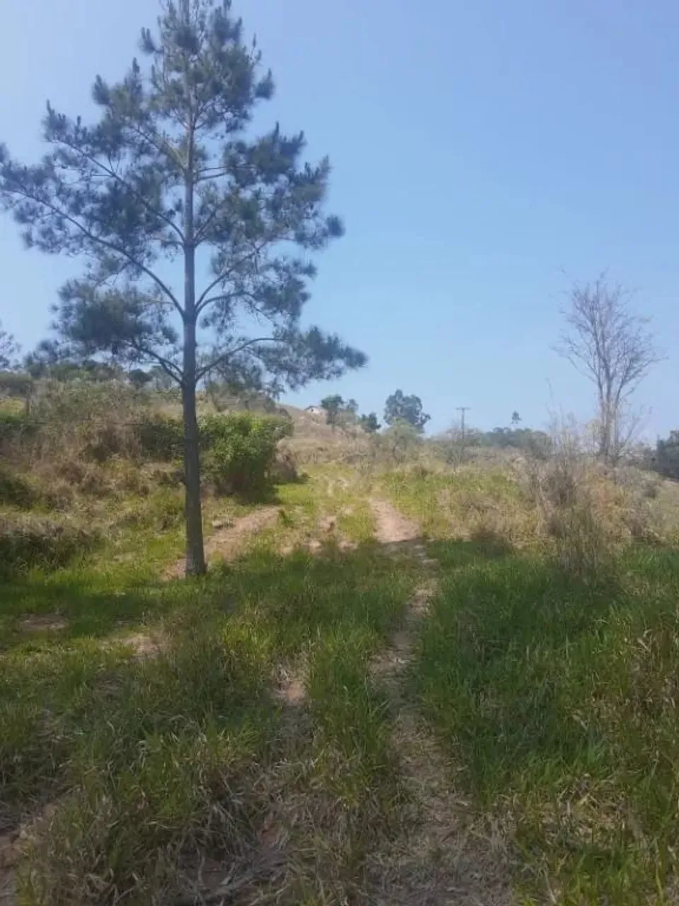 Sítio à venda, 20000 m² por R$ 249.000,00 - Morungaba - Morungaba/SP
