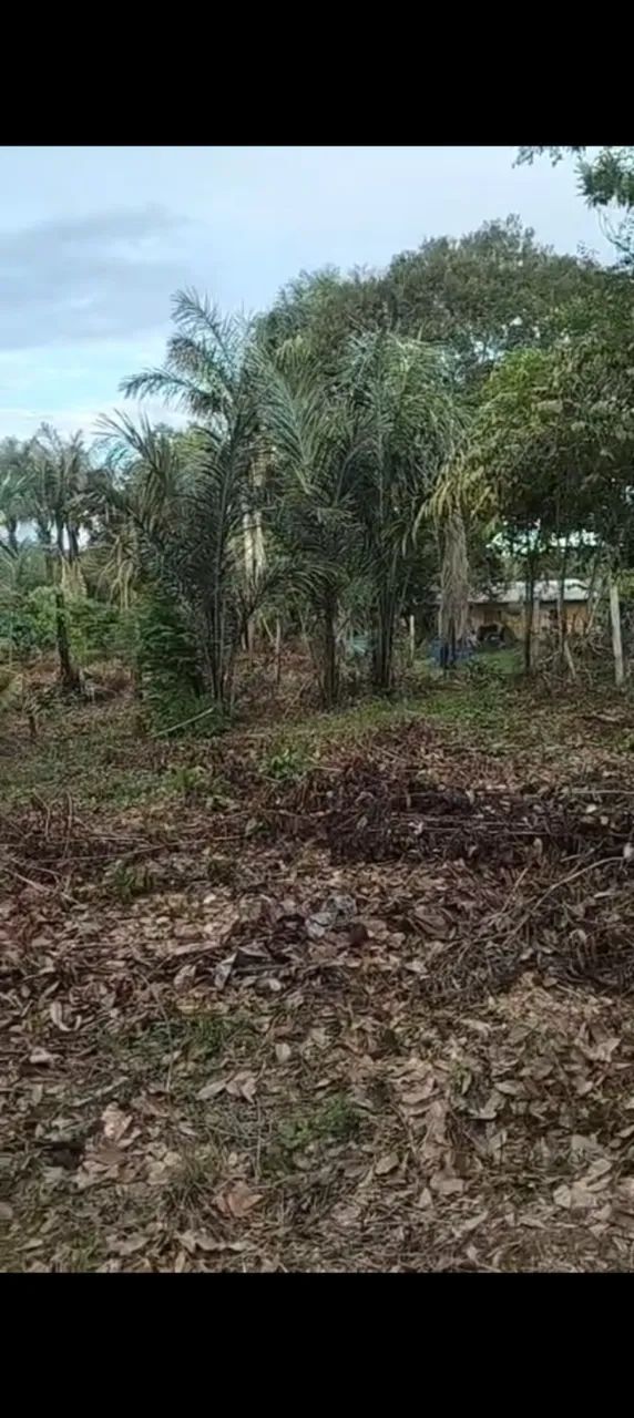 Ramal Jesus me Deu - Foto 4