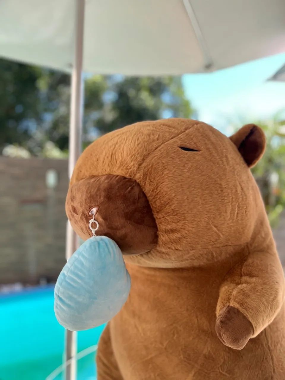 Pelúcia capivara gigante 