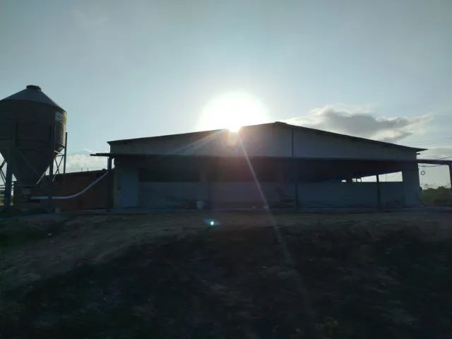Fazenda em Altinho/PE à Venda (FA0197-DV) - Foto 3