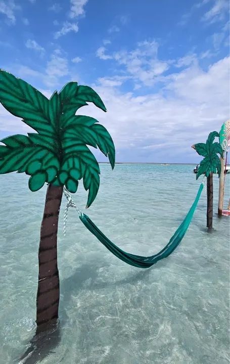 CASA CARNAVAL CAMINHO DE MOISÉS ( MARAGOGI ) - Foto 8