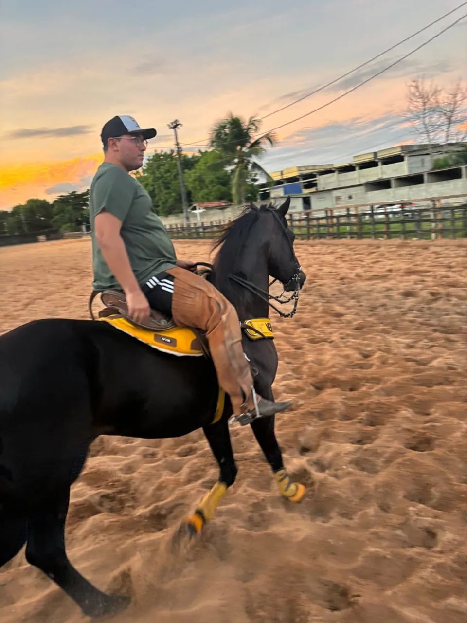 CAVALO DE VAQUEJADA - PURO  - Foto 3